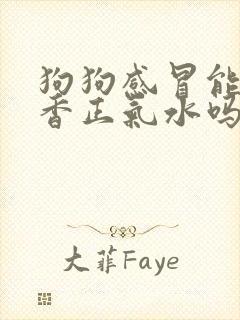 狗狗感冒能吃藿香正气水吗