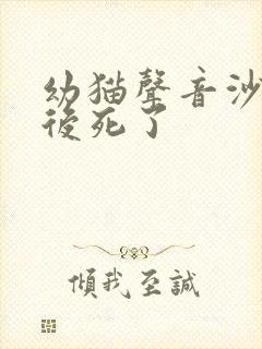 幼猫声音沙哑然后死了