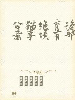 公猫绝育后的注意事项有哪些