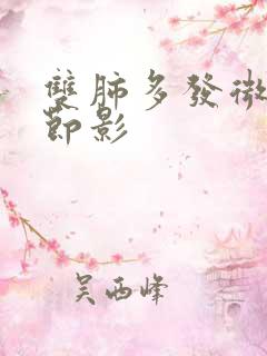 双肺多发微小结节影