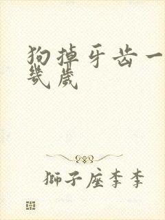 狗掉牙齿一般是几岁