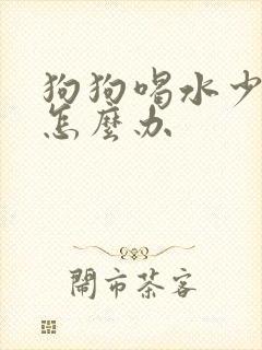 狗狗喝水少尿黄怎么办