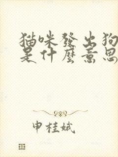 猫咪发出狗叫声是什么意思