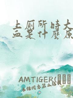 上厕所时大便有血是什么原因