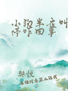 小狗半夜叫个不停咋回事