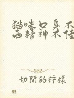 猫咪口臭不吃东西精神不佳