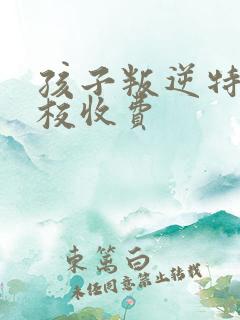 孩子叛逆特训学校收费