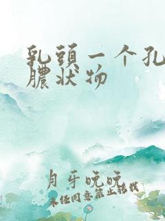 乳头一个孔挤出脓状物