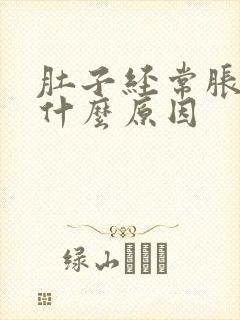 肚子经常胀气是什么原因