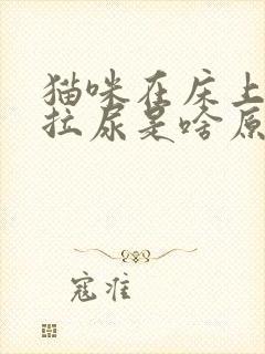 猫咪在床上拉屎拉尿是啥原因