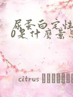 尿蛋白定性3.0是什么意思