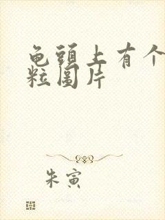 龟头上有个小肉粒图片