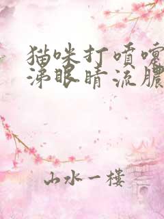 猫咪打喷嚏流鼻涕眼睛流脓还红肿