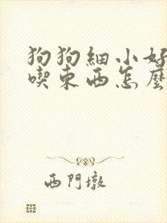 狗狗细小好了不吃东西怎么办