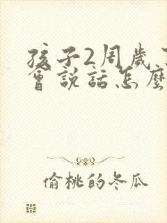 孩子2周岁了不会说话怎么办