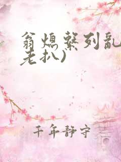 翁熄系列乱 (老扒)