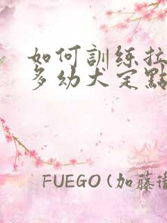 如何训练拉布拉多幼犬定点大小便