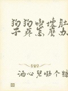 狗狗吃坏肚子肚子疼怎么办