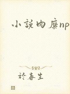 小说肉糜np
