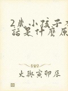 2岁小孩子不说话是什么原因