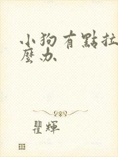 小狗有点拉稀怎么办