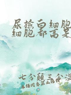 尿检白细胞和红细胞都高是怎么回事