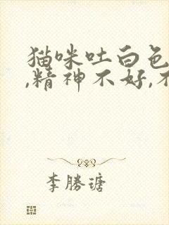 猫咪吐白色泡沫,精神不好,不吃东西