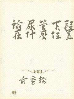 输尿管下段结石在什么位置