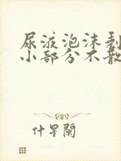 尿液泡沫剩下一小部分不散