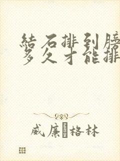 结石排到膀胱要多久才能排下来