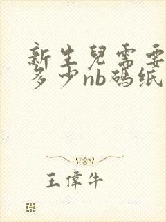 新生儿需要准备多少nb码纸尿裤