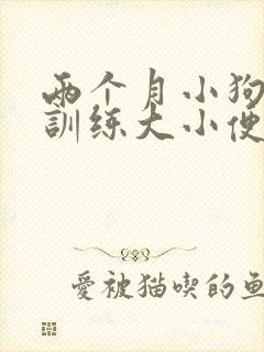 两个月小狗怎么训练大小便