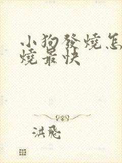 小狗发烧怎么退烧最快