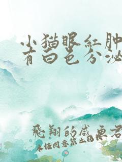 小猫眼红肿眼里有白色分泌物怎么回事