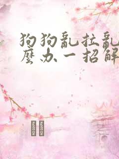 狗狗乱拉乱尿怎么办一招解决