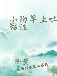 小狗早上吐白色粘液