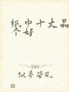 纸巾十大品牌哪个好