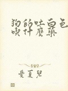 狗的吐白色粘液吃什么药