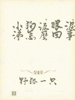 小狗流眼泪流鼻涕怎么回事