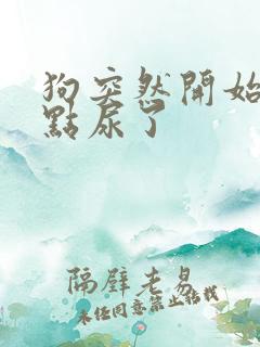 狗突然开始不定点尿了