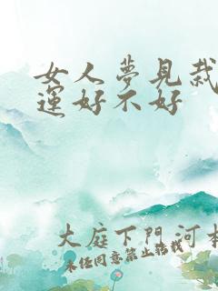 女人梦见栽秧财运好不好