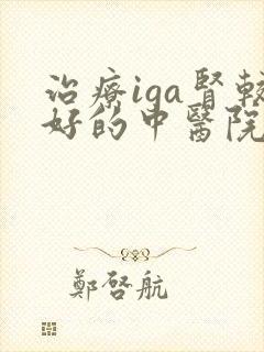 治疗iga肾较好的中医院