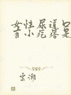 女性尿道口里面有小疙瘩是什么原因