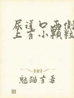 尿道口两侧外阴上有小颗粒