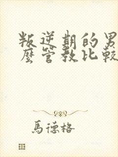 叛逆期的男孩怎么管教比较好