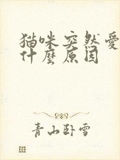 猫咪突然爱喝水什么原因