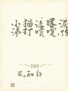 小猫流眼泪流鼻涕打喷嚏,但是食欲很好