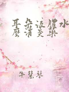 耳朵流脓水吃什么消炎药