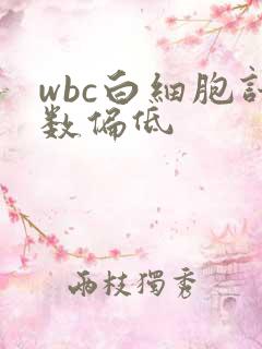 wbc白细胞计数偏低