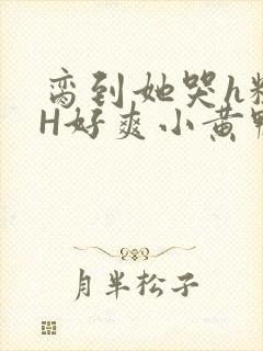 脔到她哭h粗话H好爽小黄鸭视频